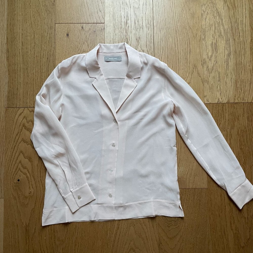 Sheer Balletcore Everlane Silk Button-up Shirt - Pink - Size 0